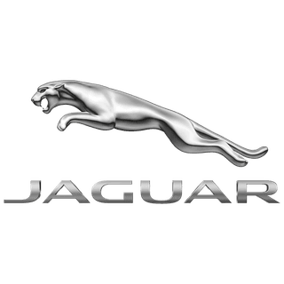 Jaguar back cover